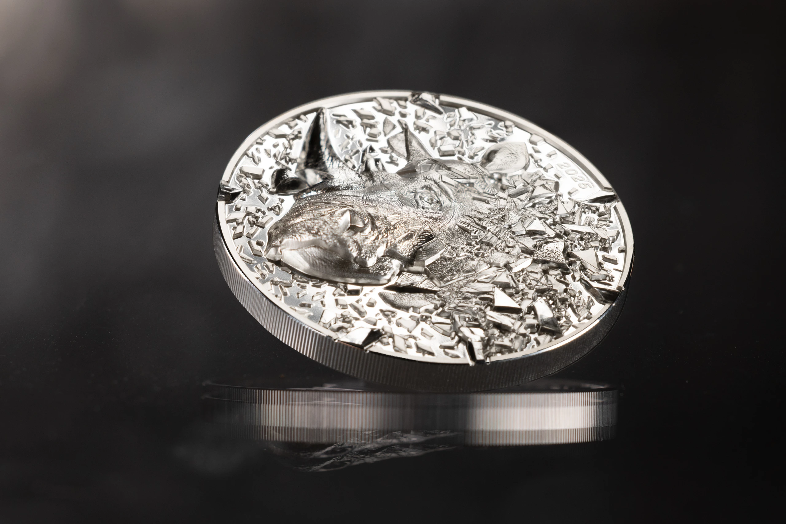 2025 – Rhino